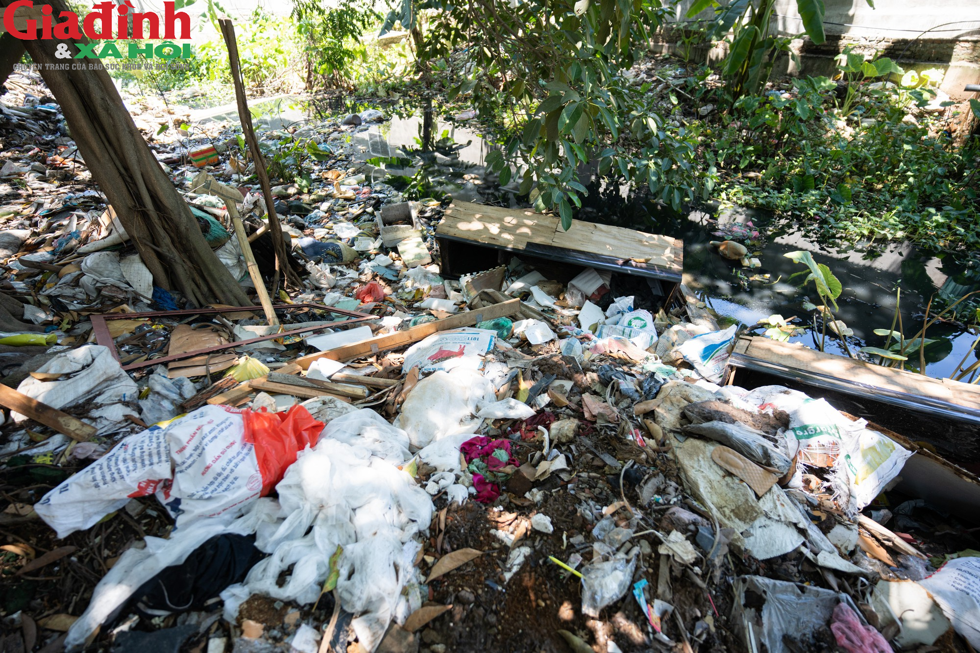 Hà Nội: Người dân 'ngợp' vì con ngõ ngập tràn toàn rác - Ảnh 7.