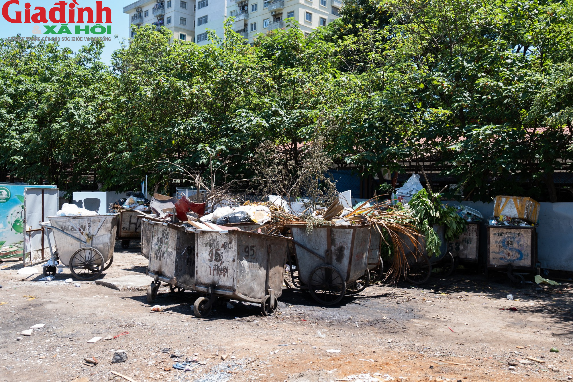 Hà Nội: Người dân 'ngợp' vì con ngõ ngập tràn toàn rác - Ảnh 11.