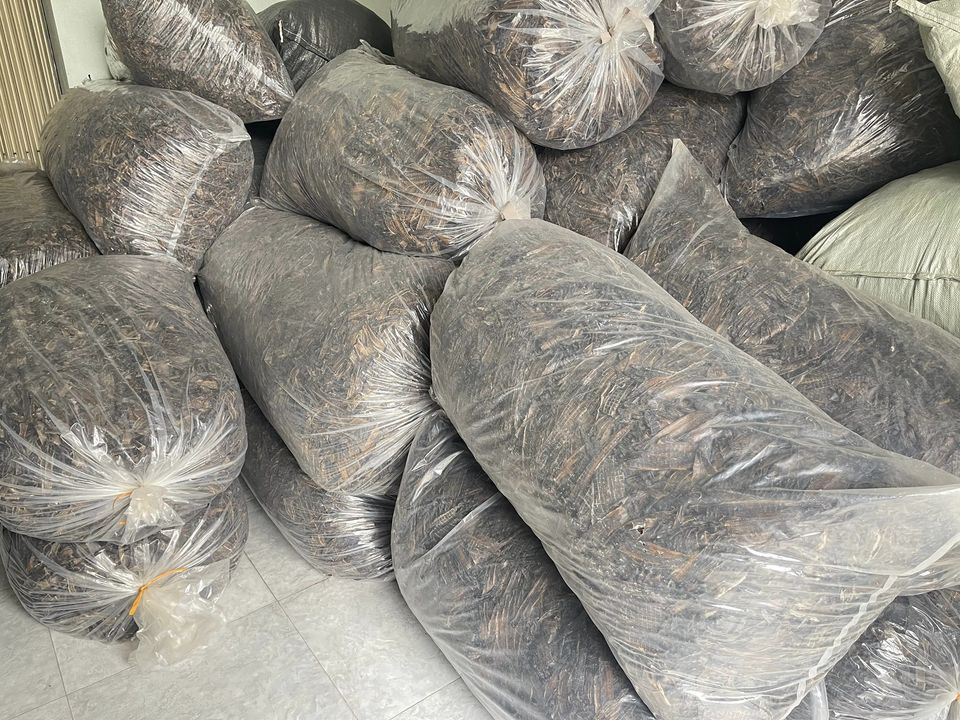 Trung Quốc t&igrave;m mua, giun đất sấy kh&ocirc; đắt nhất chợ mạng 1,5 triệu/kg - Ảnh 2.