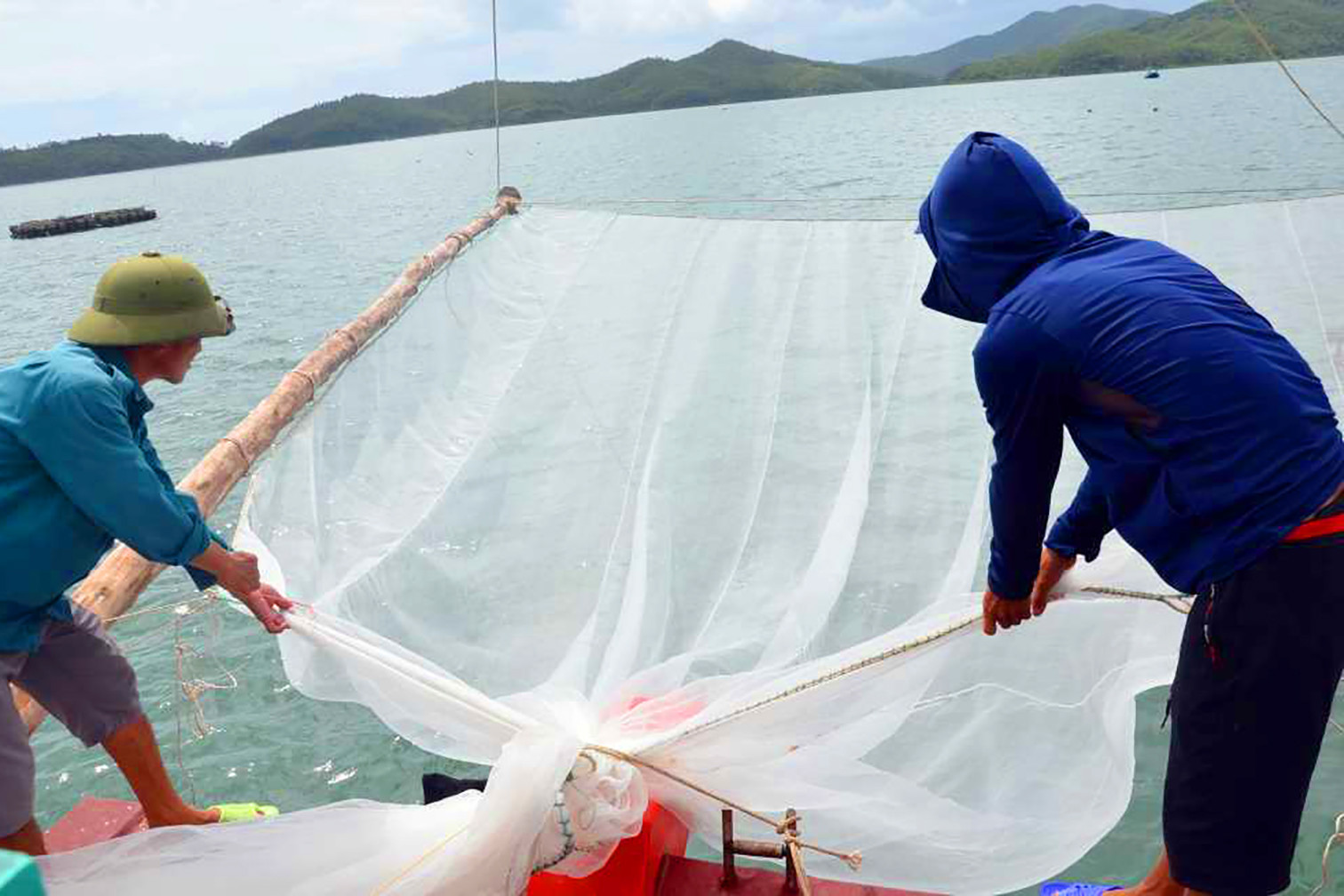 M&ugrave;a x&uacute;c 'lộc biển' ở đảo Ngọc Vừng, kiếm tiền triệu mỗi ng&agrave;y - Ảnh 1.