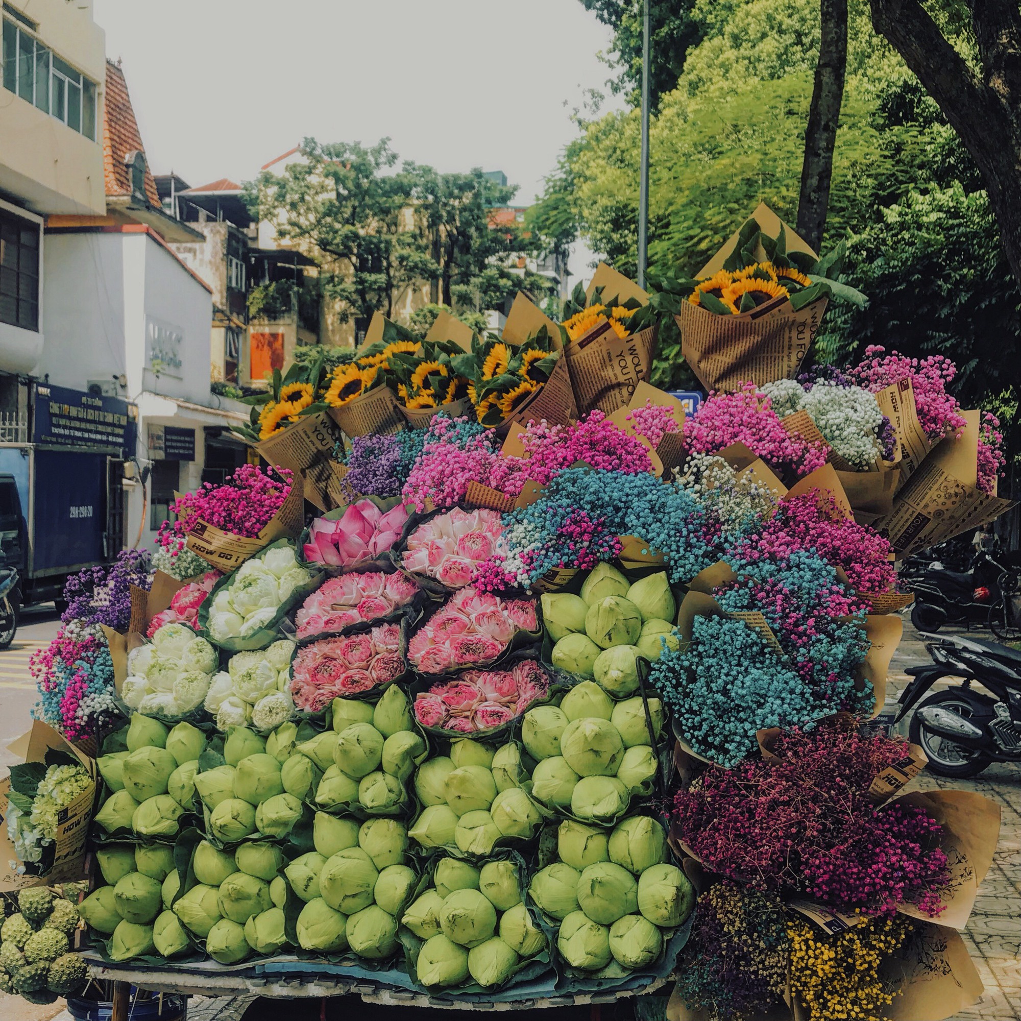 Phố cổ Hà Nội - Không khí thời gian ngưng đọng mùa thu chụp ảnh ở đâu đẹp