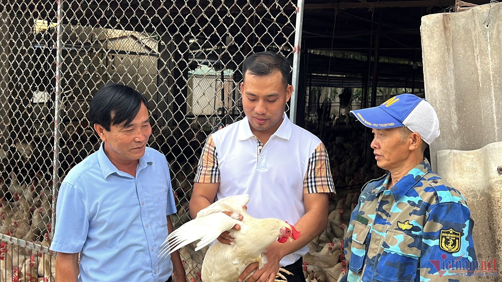 Nuôi gà đẻ trứng, chàng trai ở Thanh Hóa thu trăm triệu mỗi tháng - Ảnh 1.