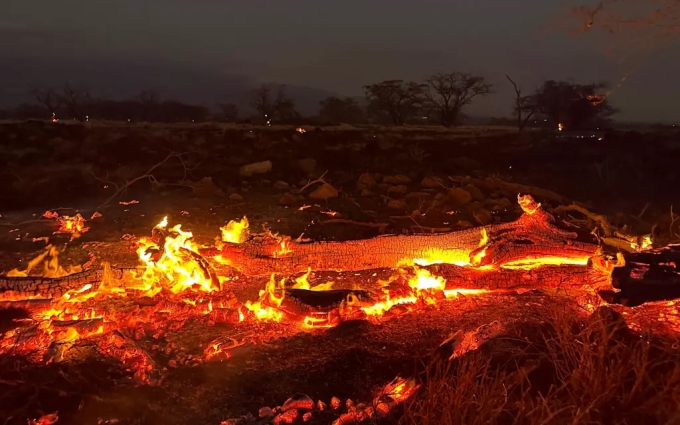Thảm kịch cháy rừng ở Hawaii: Nhân chứng kể lại cảnh tượng như ngày tận thế