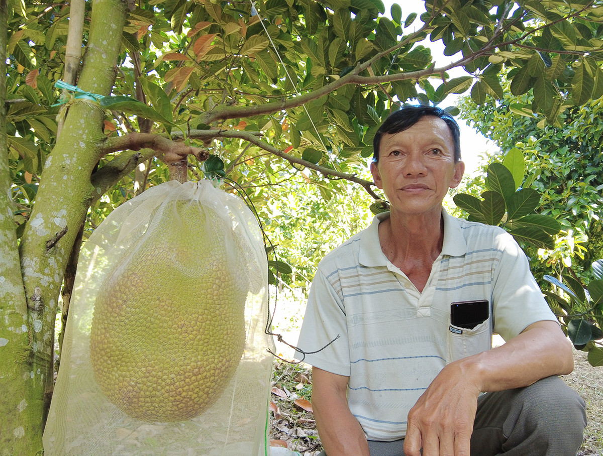 Người đ&agrave;n &ocirc;ng &lsquo;đ&uacute;t t&uacute;i&rsquo; 1 tỷ đồng/năm nhờ trồng to&agrave;n c&acirc;y ăn tr&aacute;i ai cũng m&ecirc; - Ảnh 2.