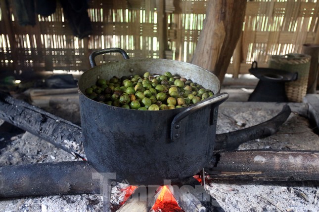 Mùa hái bo bo ở vùng cao Nghệ An - Ảnh 2.