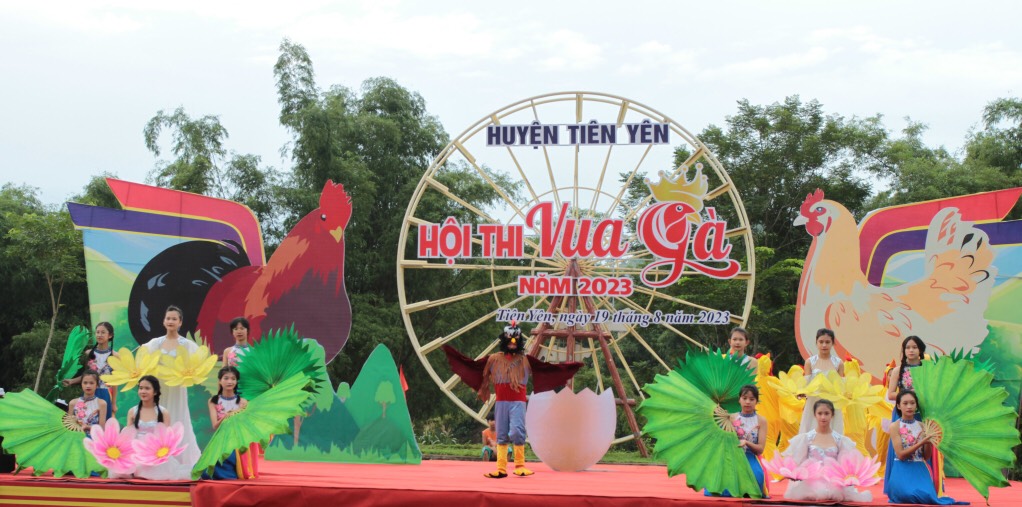 Độc đáo thi Vua gà, Hoa hậu gà ở Quảng Ninh - Ảnh 1.