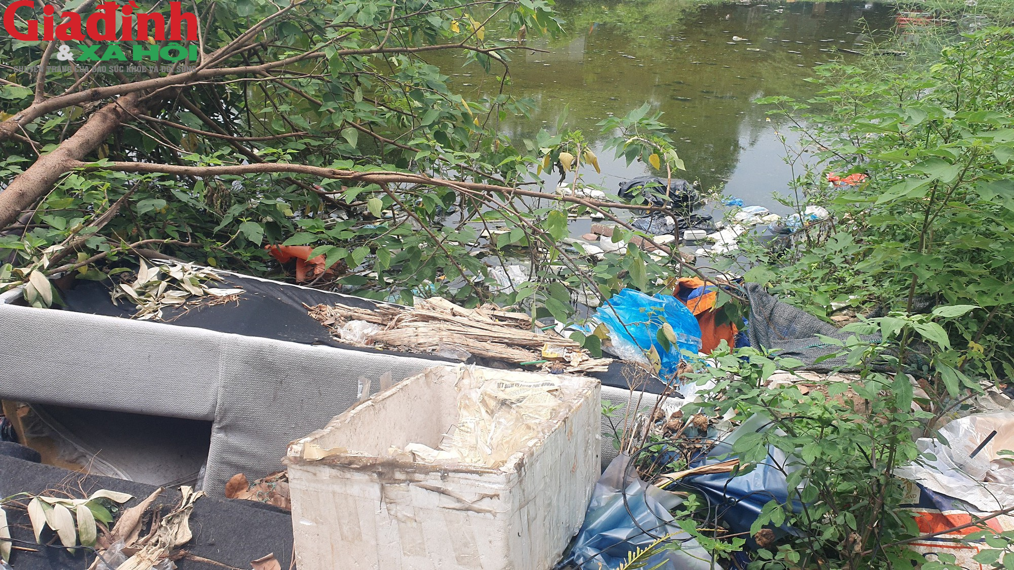 Dịch sốt xuất huyết lan rộng, nhiều kênh mương tại Hà Nội tràn ngập rác thải - Ảnh 3.