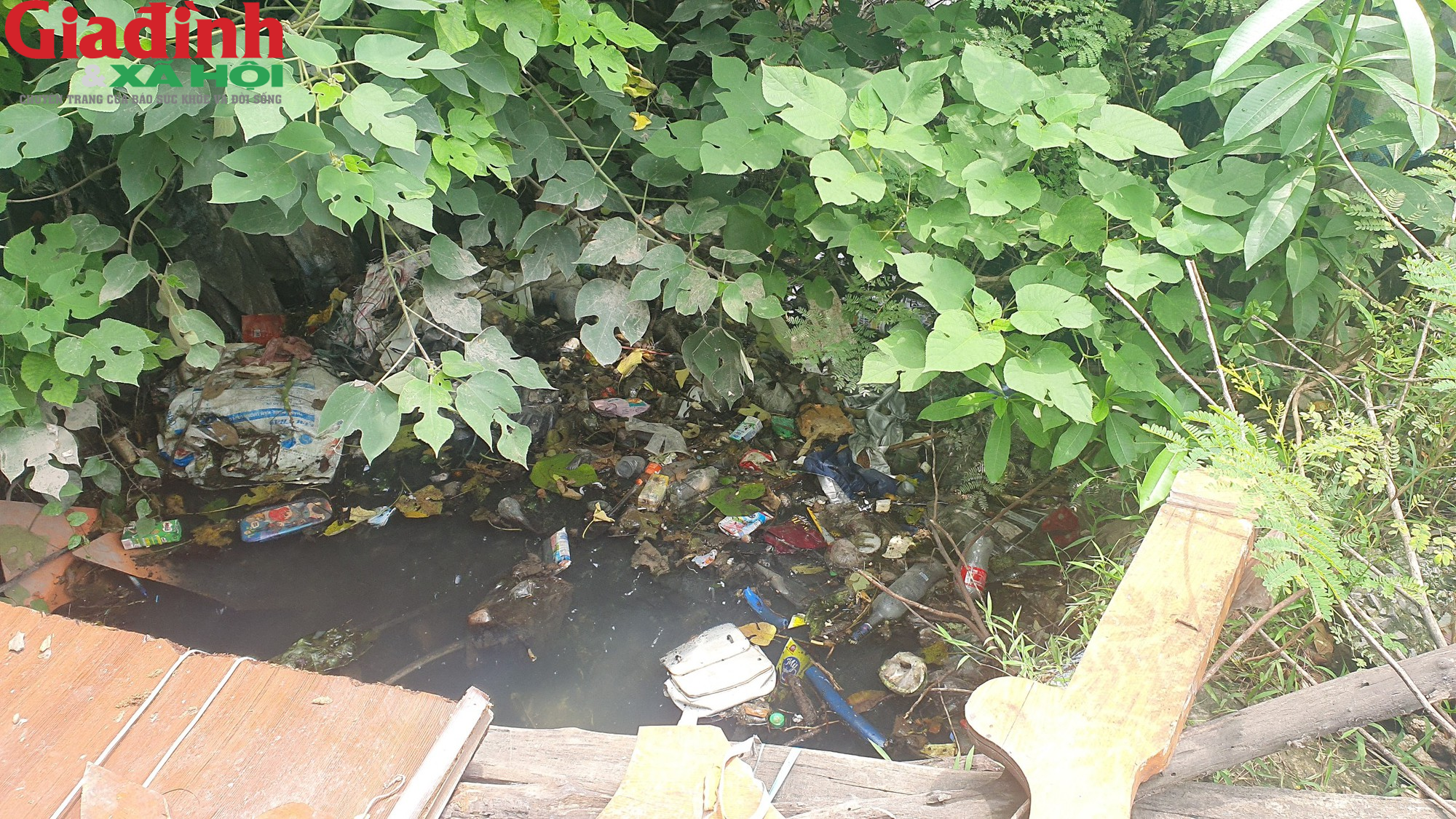 Dịch sốt xuất huyết lan rộng, nhiều kênh mương tại Hà Nội tràn ngập rác thải - Ảnh 4.