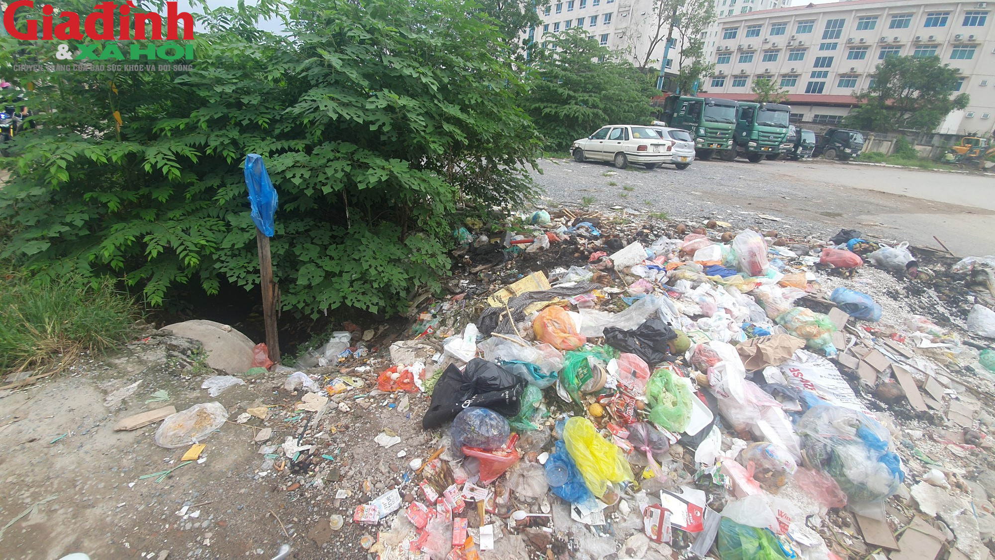 Dịch sốt xuất huyết lan rộng, nhiều kênh mương tại Hà Nội tràn ngập rác thải - Ảnh 6.