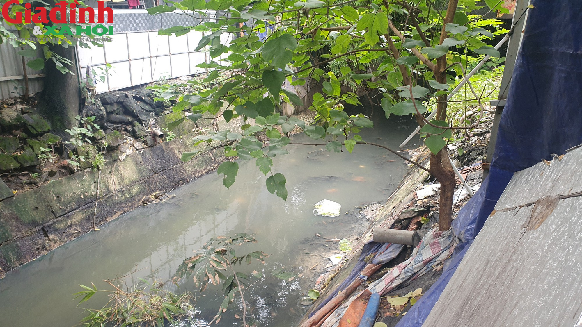 Dịch sốt xuất huyết lan rộng, nhiều kênh mương tại Hà Nội tràn ngập rác thải - Ảnh 8.