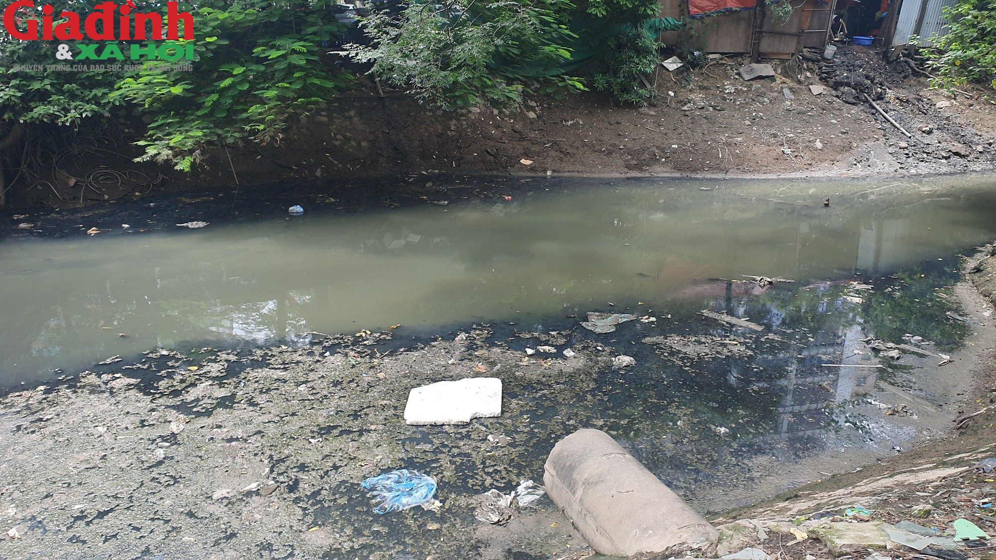Dịch sốt xuất huyết lan rộng, nhiều kênh mương tại Hà Nội tràn ngập rác thải - Ảnh 11.