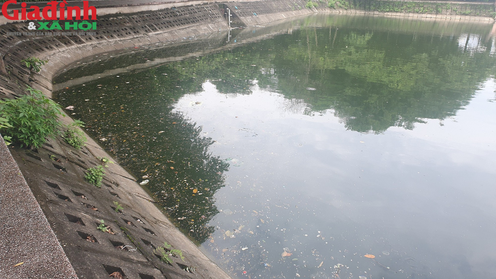 Nhiều hồ ở Hà Nội xuất hiện rác thải, xác cá chết trôi nổi gây ô nhiễm môi trường - Ảnh 1.