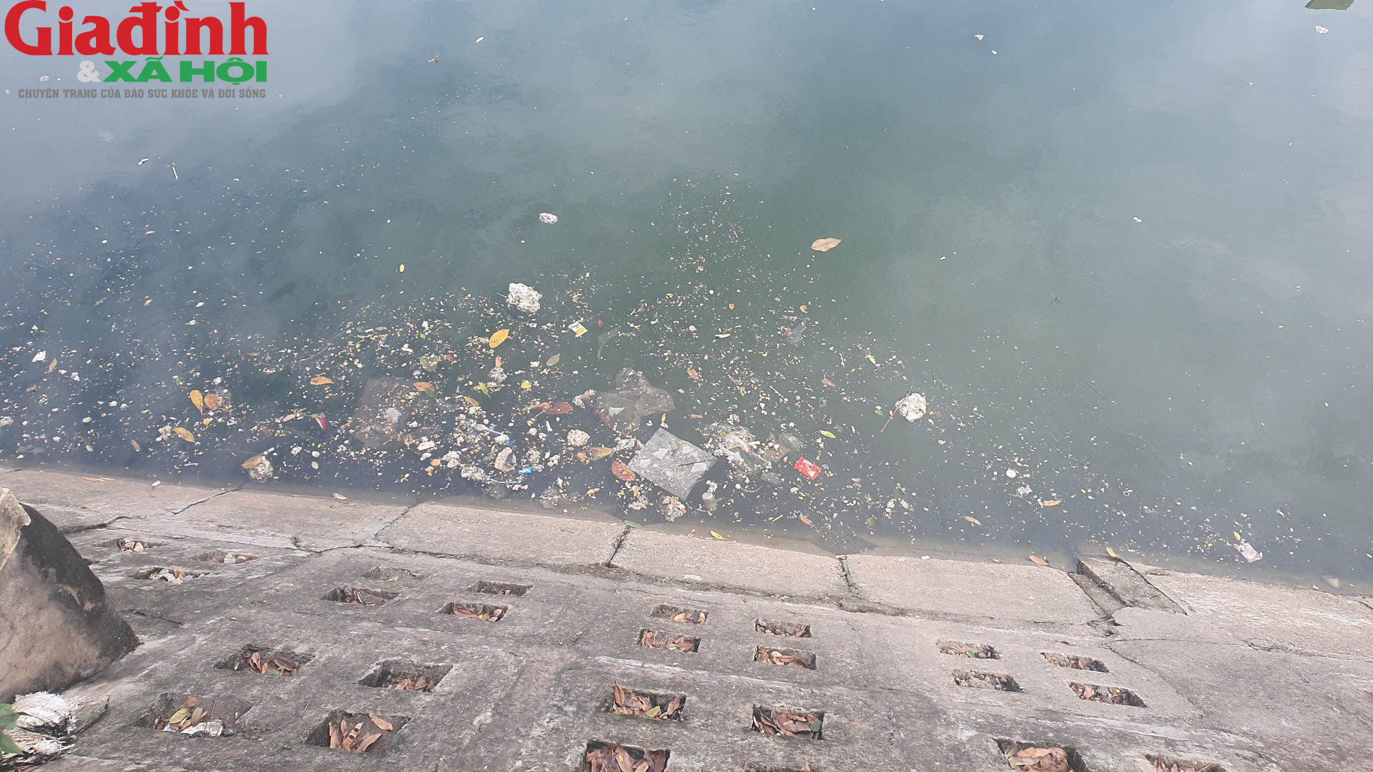 Nhiều hồ ở Hà Nội xuất hiện rác thải, xác cá chết trôi nổi gây ô nhiễm môi trường - Ảnh 2.