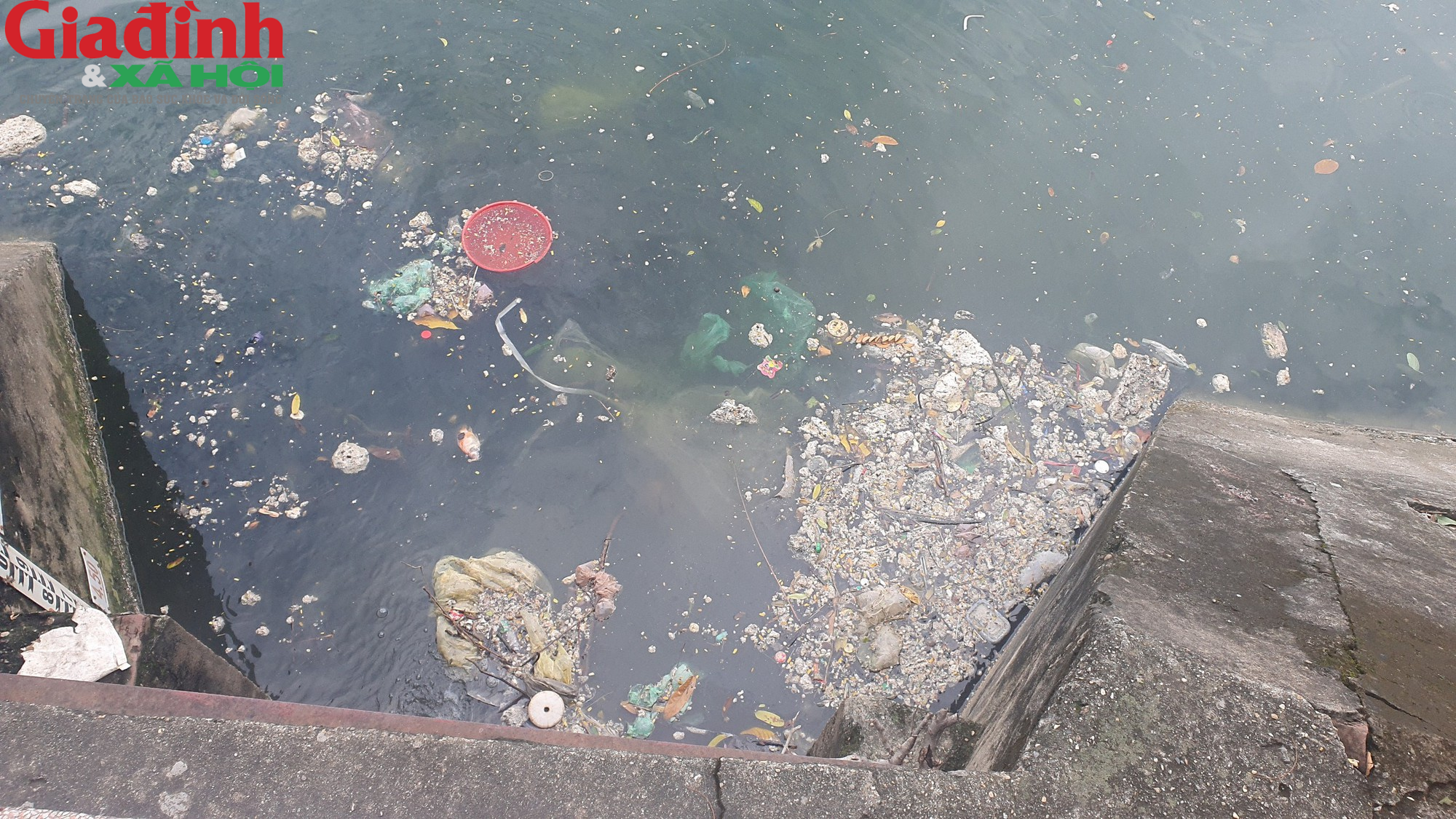 Nhiều hồ ở Hà Nội xuất hiện rác thải, xác cá chết trôi nổi gây ô nhiễm môi trường - Ảnh 3.