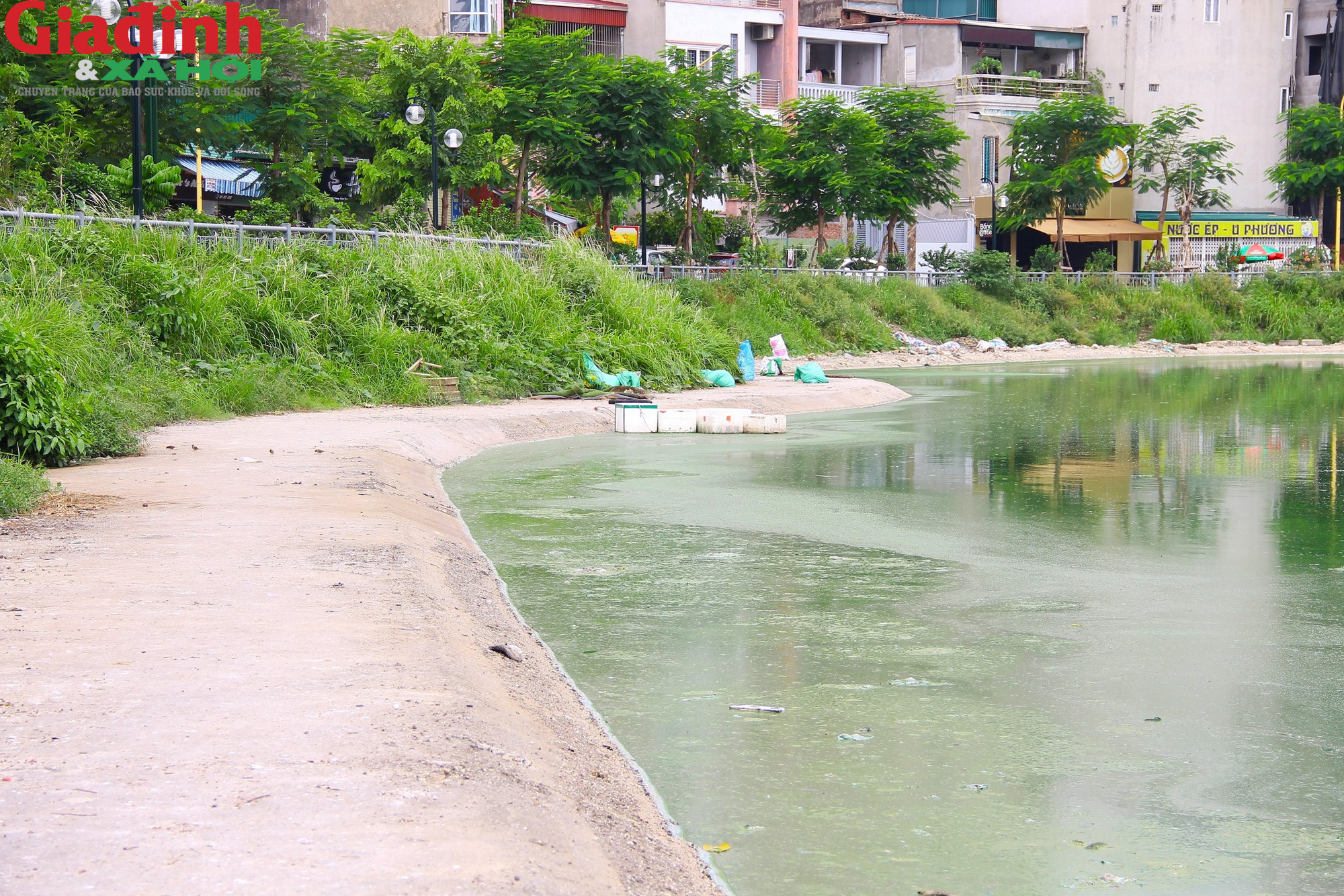 Nhiều hồ ở Hà Nội xuất hiện rác thải, xác cá chết trôi nổi gây ô nhiễm môi trường - Ảnh 6.