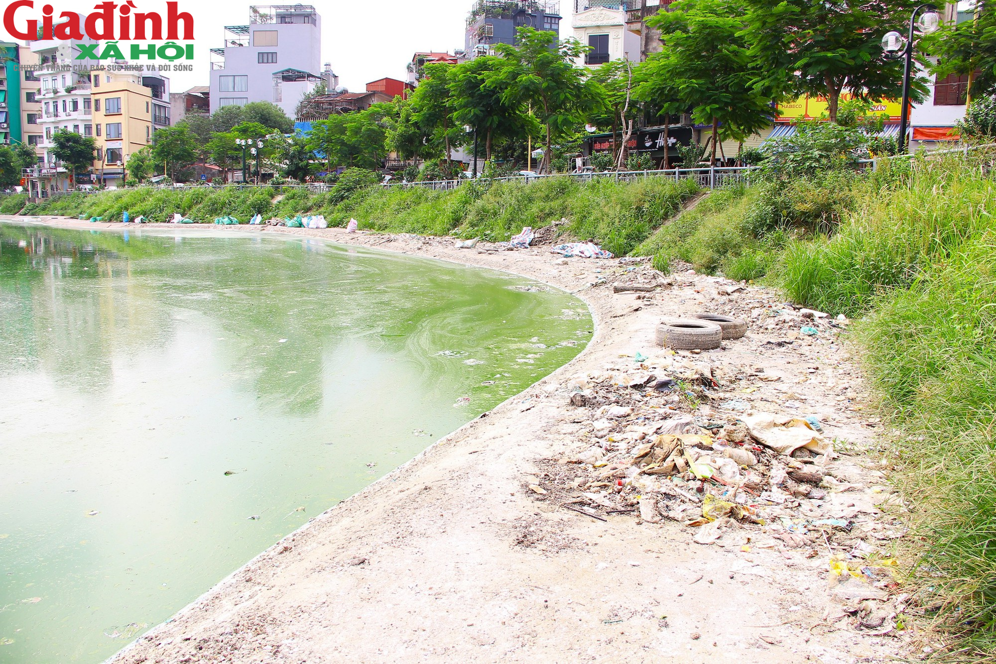 Nhiều hồ ở Hà Nội xuất hiện rác thải, xác cá chết trôi nổi gây ô nhiễm môi trường - Ảnh 7.