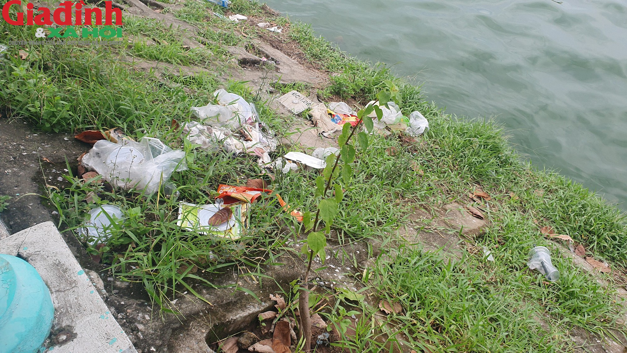 Nhiều hồ ở Hà Nội xuất hiện rác thải, xác cá chết trôi nổi gây ô nhiễm môi trường - Ảnh 10.