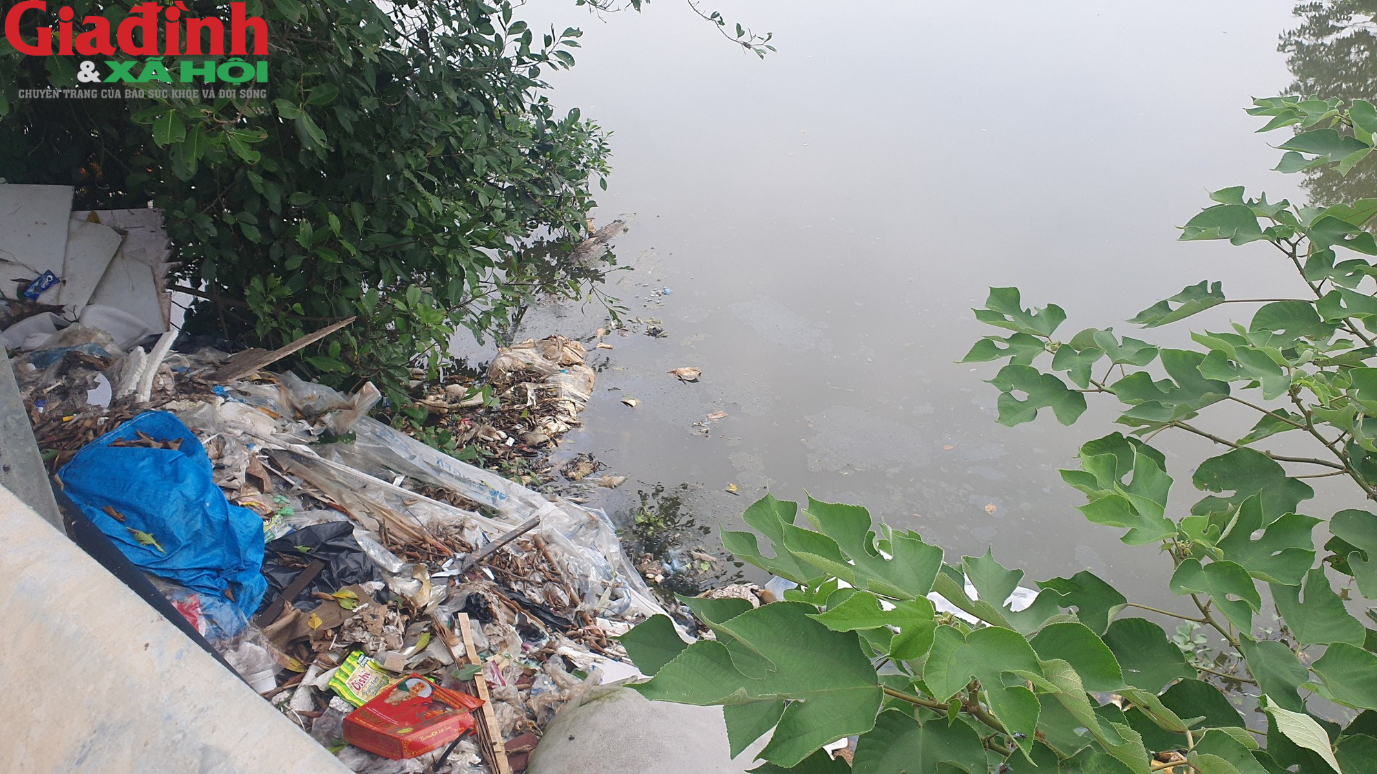 Nhiều hồ ở Hà Nội xuất hiện rác thải, xác cá chết trôi nổi gây ô nhiễm môi trường - Ảnh 13.