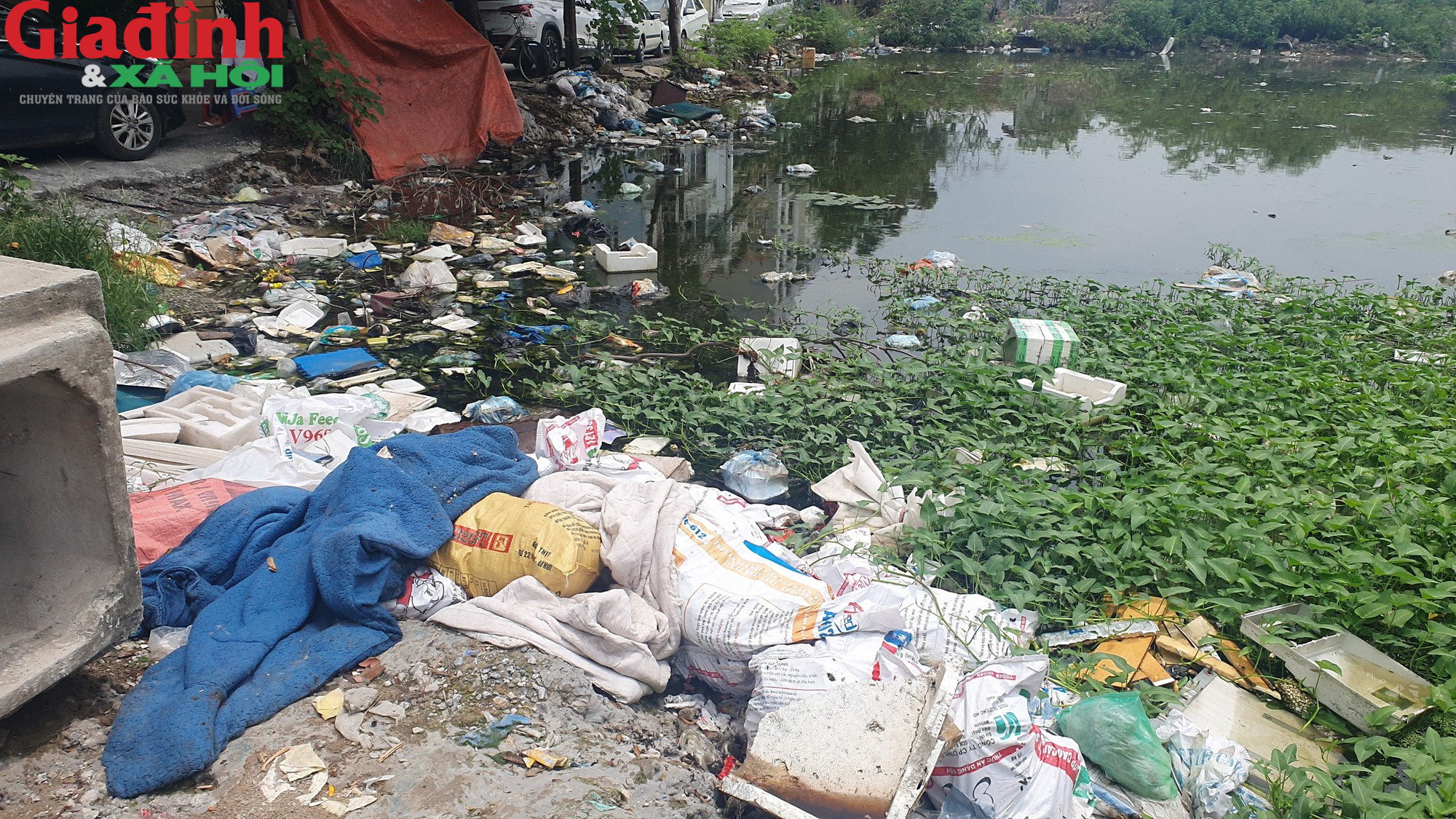 Nhiều hồ ở Hà Nội xuất hiện rác thải, xác cá chết trôi nổi gây ô nhiễm môi trường - Ảnh 14.