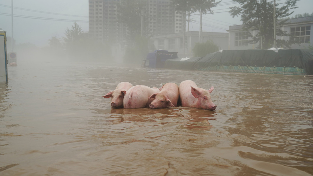 Mưa lũ ở Trung Quốc: Hàng loạt ô tô chìm trong biển nước, nhiều tòa nhà bỗng chốc hóa thành &quot;cô đảo&quot; - Ảnh 7.