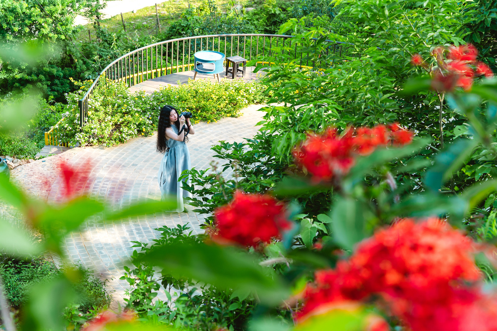 Mê mẩn khu vườn rộng 3.000m2, hoa nở rực rỡ ở ngoại thành Hà Nội