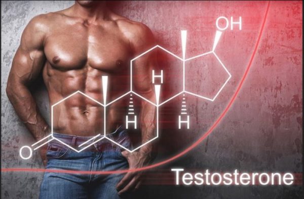 Có được dùng testosterone tăng cơ trong tập thể hình không? - Ảnh 2.