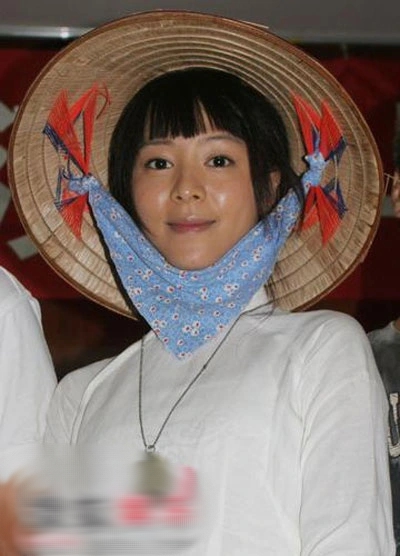 Mỹ nhân Hoa ngữ đóng cô gái Việt gây sốt một thời, sự nghiệp xuống dốc sau vụ đạp váy Phạm Băng Băng - Ảnh 2.