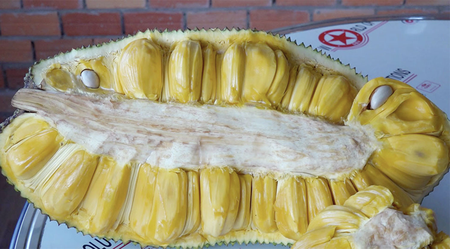 M&iacute;t thơm lừng m&ugrave;i sầu ri&ecirc;ng, m&iacute;t 'khủng' 40 kg/quả ở Việt Nam - Ảnh 2.