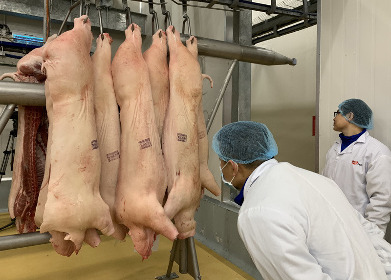 Giá thịt lợn quay đầu giảm, hàng nhập khẩu tăng mạnh, dân lại 'treo' chuồng - Ảnh 1.