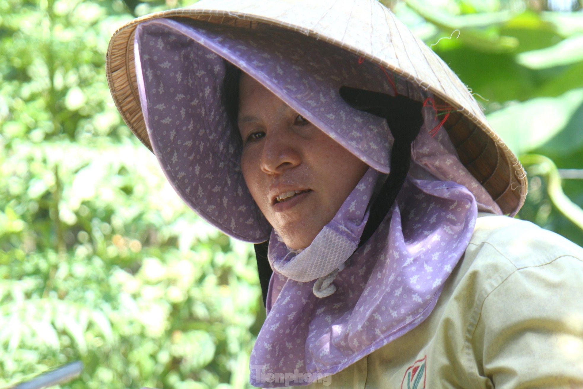 ‘Vàng đen’ vào mùa, vì sao thương lái ngậm đắng nuốt cay? - Ảnh 9. ‘Vàng đen’ vào mùa, vì sao thương lái ngậm đắng nuốt cay? - Ảnh 9.