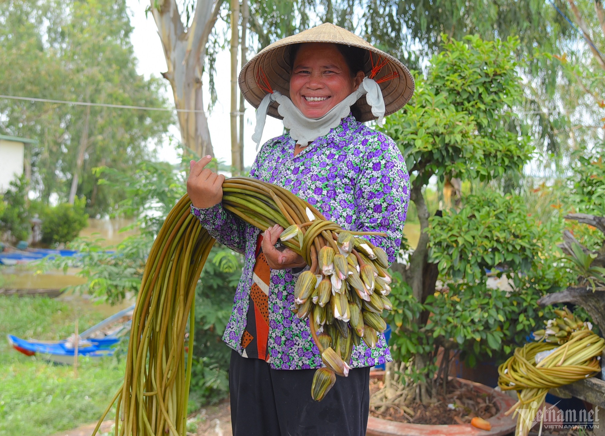 Thu hoạch ‘súng ma’ nơi đầu nguồn biên giới An Giang - Ảnh 4.