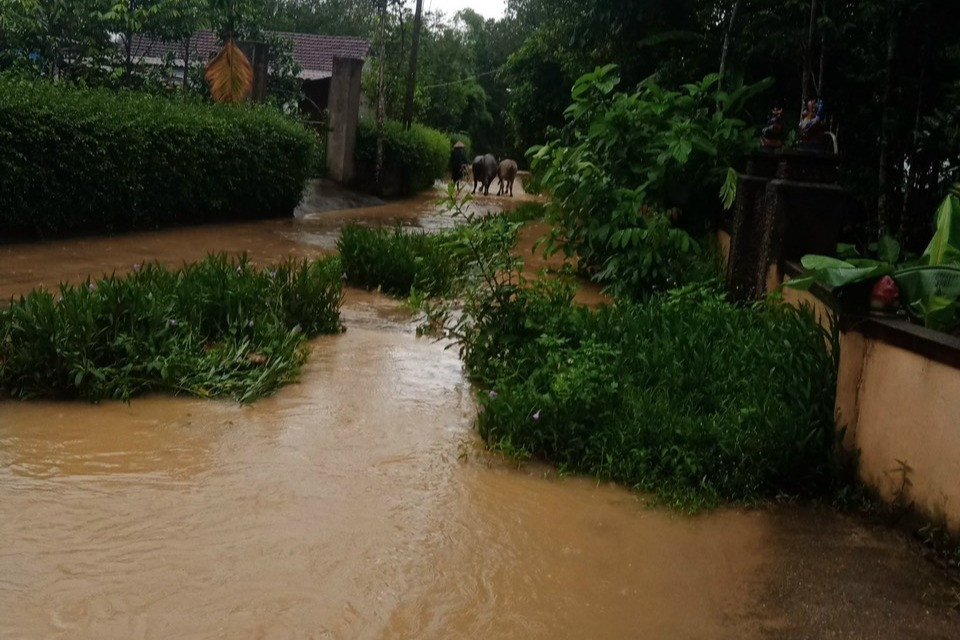 4.300 học sinh một huyện phải nghỉ học vì mưa lớn - Ảnh 2.