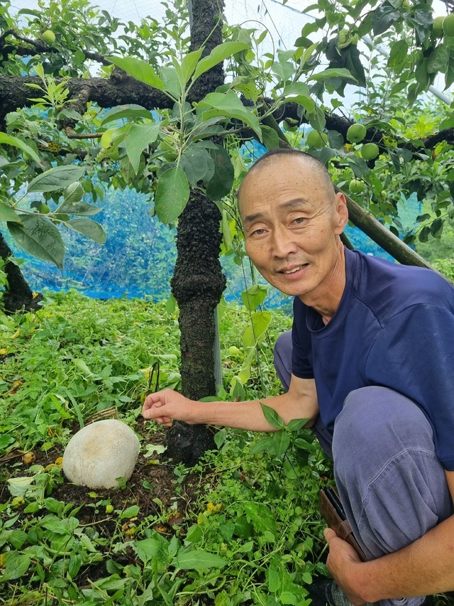 Lão nông "đổi đời" nhờ phát hiện vật thể lạ giống tảng đá kỳ quái khi đi cắt cỏ, giá gần 1 tỷ đồng/kg - Ảnh 3. Lão nông "đổi đời" nhờ phát hiện vật thể lạ giống tảng đá kỳ quái khi đi cắt cỏ, giá gần 1 tỷ đồng/kg - Ảnh 3.