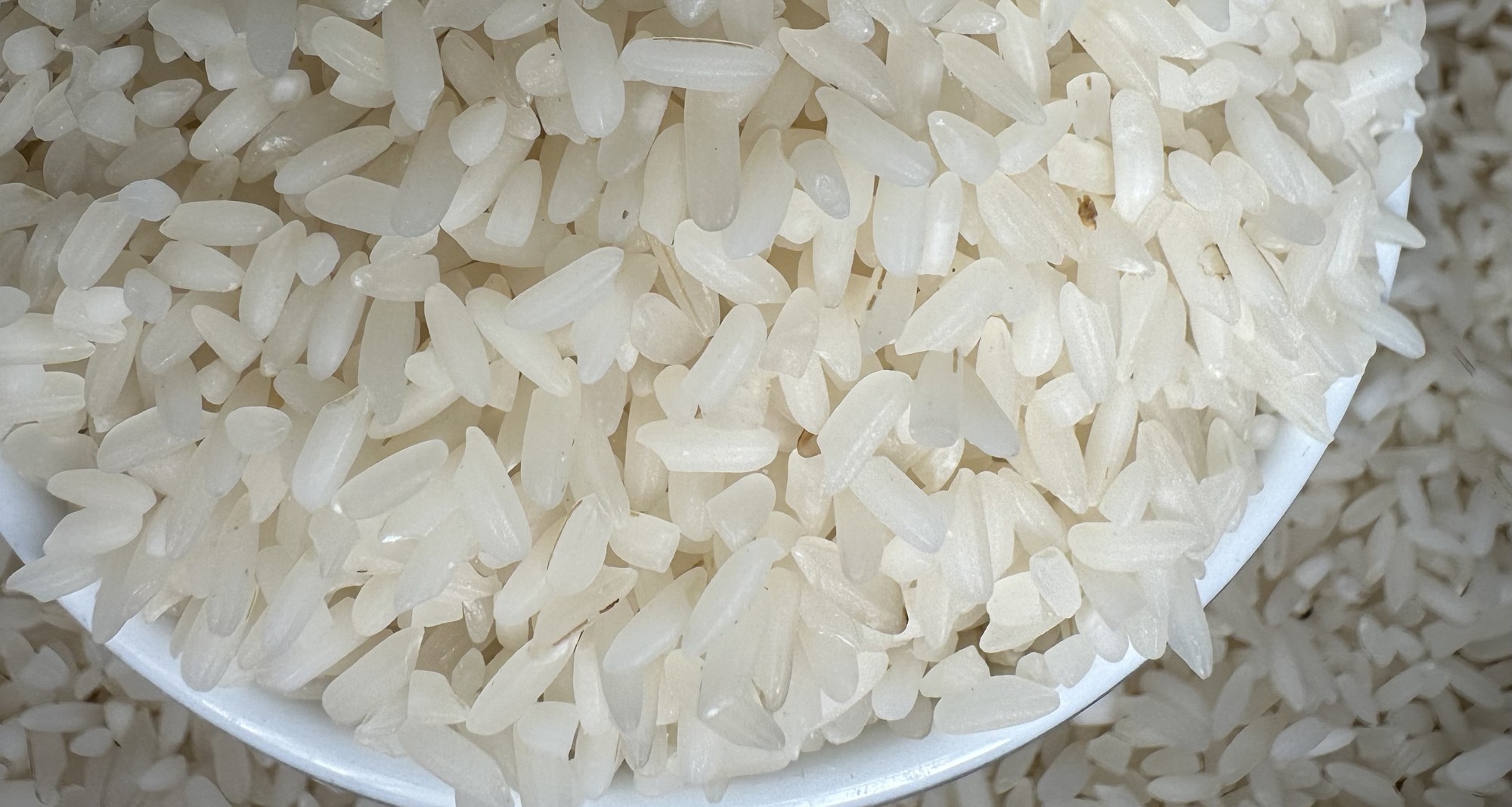 Giá gạo xuất khẩu giảm liên tiếp, trong nước neo cao, doanh nghiệp dừng mua bán