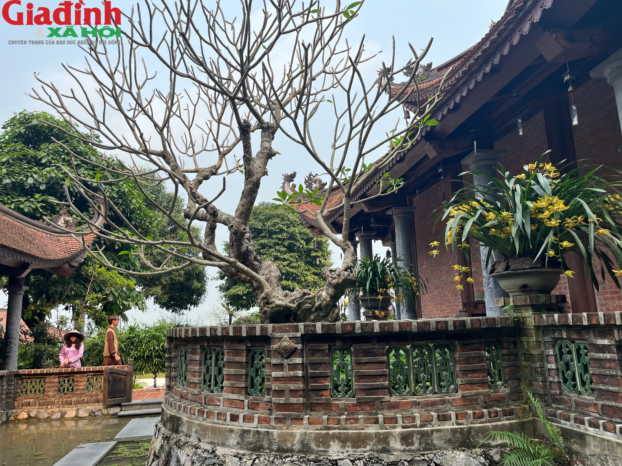 chùa địa tạng phi lai tự