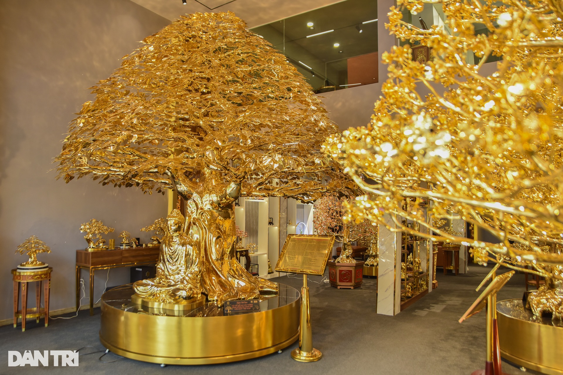 Cây bồ đề chưng Tết được mạ vàng, giá 1 triệu USD ở TPHCM - Ảnh 1.