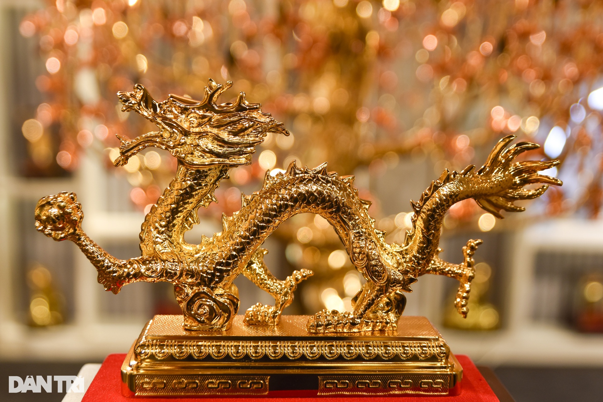 Cây bồ đề chưng Tết được mạ vàng, giá 1 triệu USD ở TPHCM - Ảnh 10.