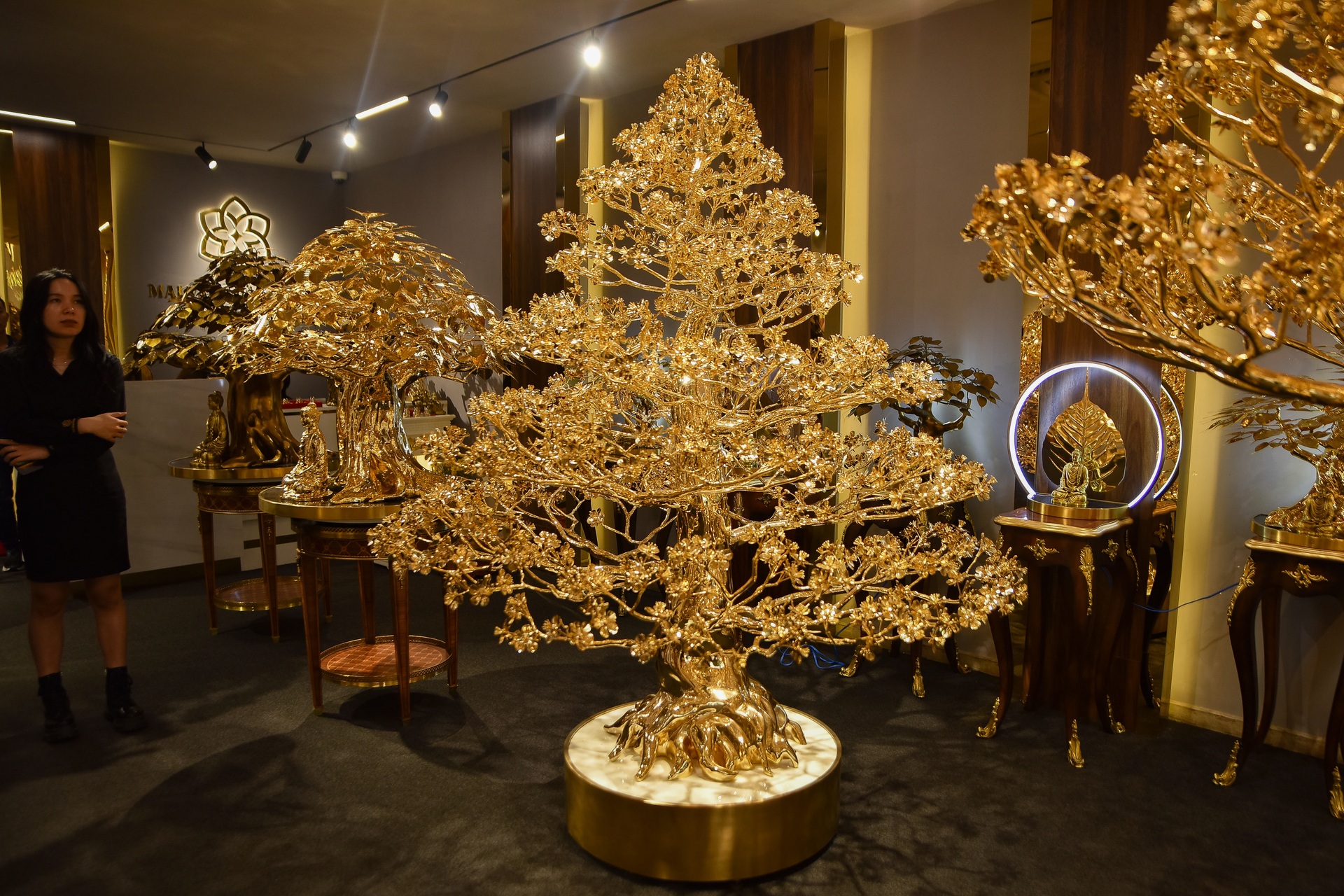 Cây bồ đề chưng Tết được mạ vàng, giá 1 triệu USD ở TPHCM - Ảnh 11.
