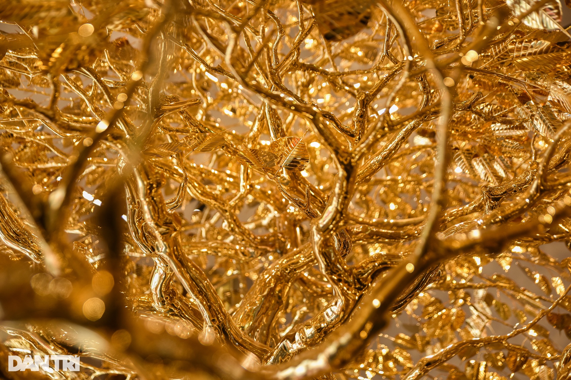 Cây bồ đề chưng Tết được mạ vàng, giá 1 triệu USD ở TPHCM - Ảnh 5.