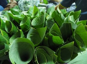 Loại lá gói xôi ở Việt Nam ra nước ngoài thành sản vật giá nửa triệu/kg, xuất khẩu thu về chục tỷ/năm - Ảnh 1.