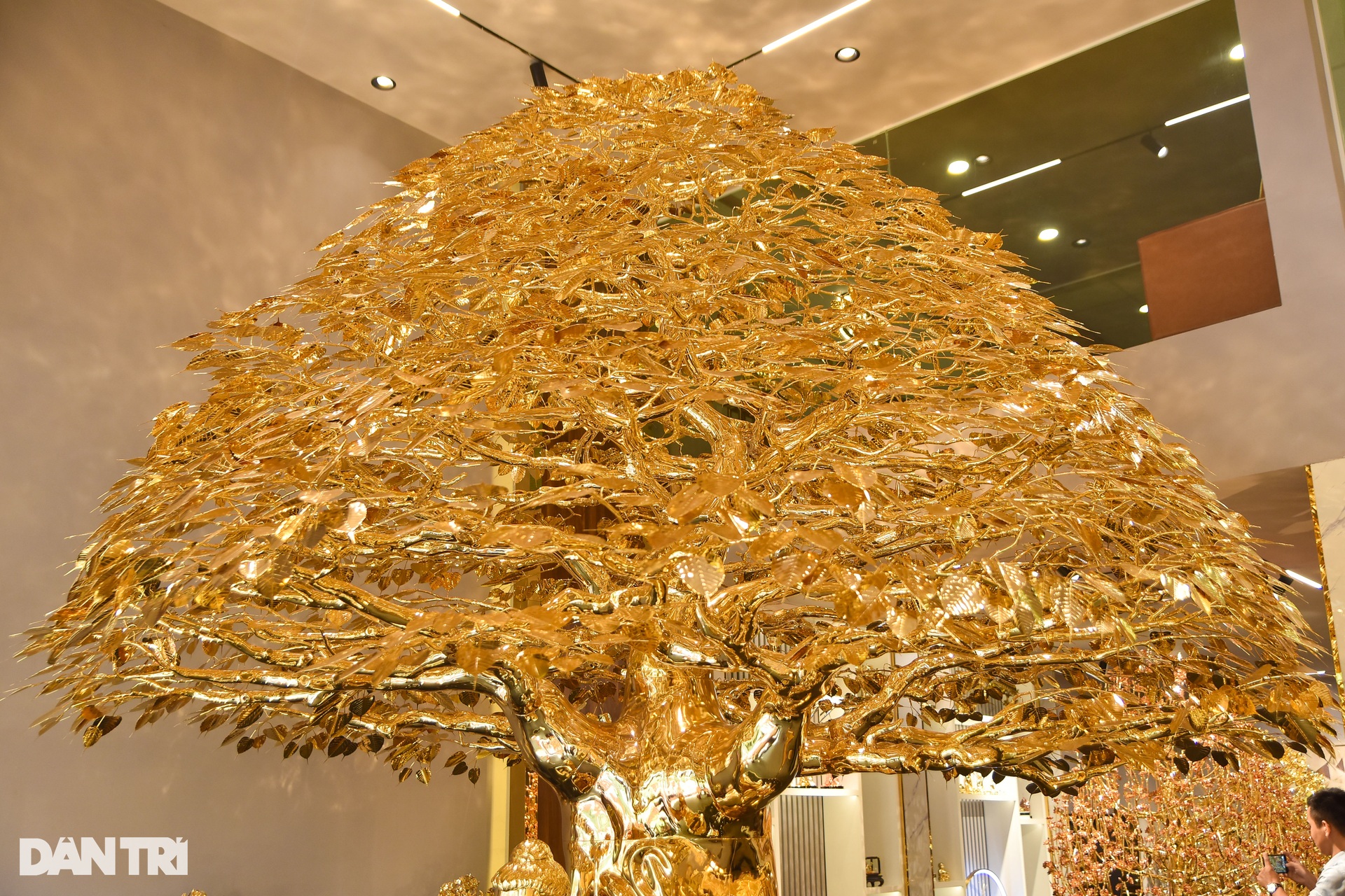 Cây bồ đề chưng Tết được mạ vàng, giá 1 triệu USD ở TPHCM - Ảnh 4.