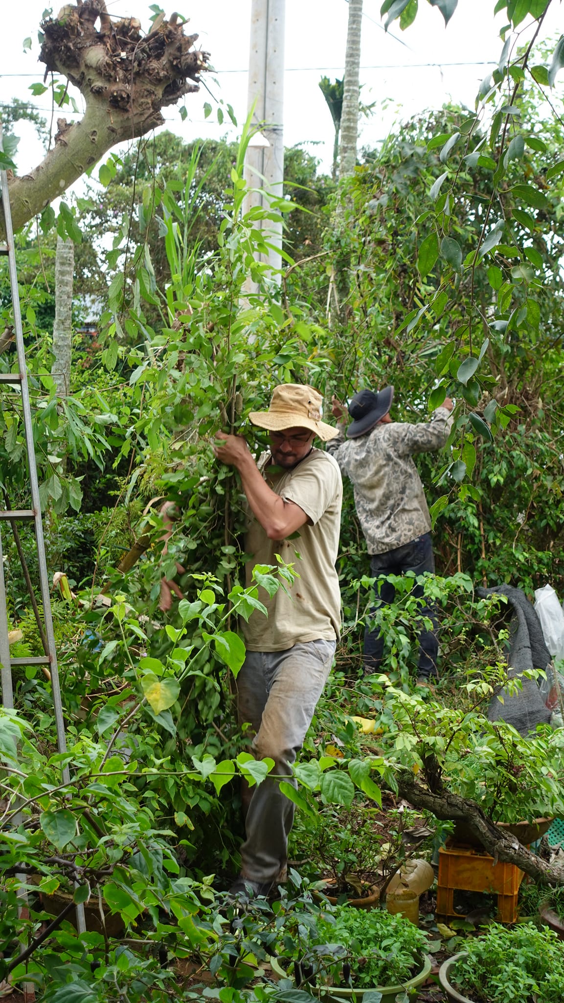 Chàng trai Bỉ lấy cô gái Đắk Lắk: Yêu nhầm chị gái được vợ như ý, ở rể làm nông vui như "cá gặp nước"- Ảnh 9.