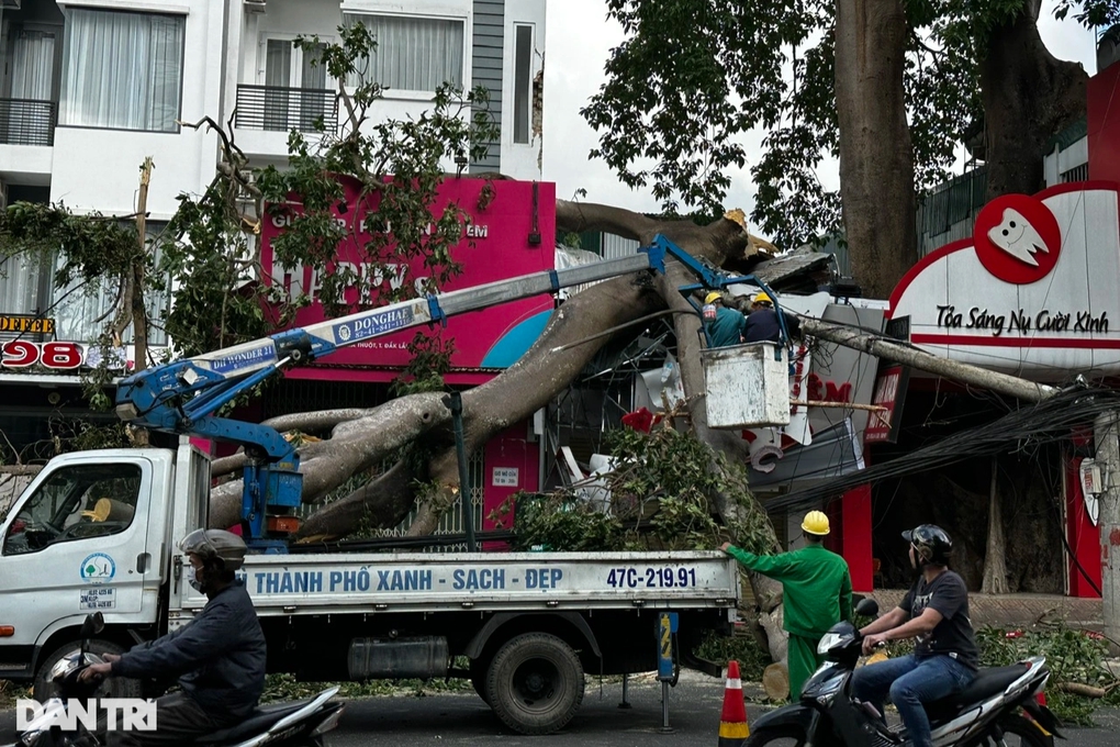 Cành cây đa cổ thụ đè sập nhà, một cô gái gãy tay - Ảnh 4.