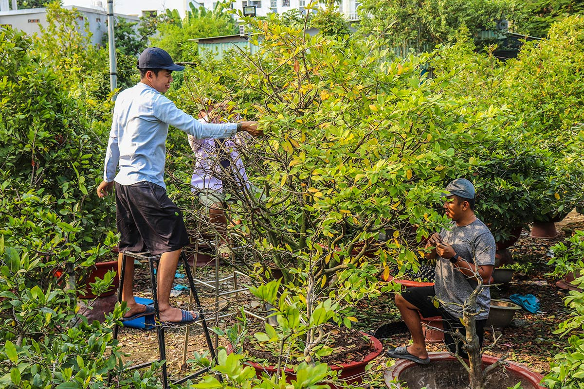 Báo VietnamNet - Ảnh 1.