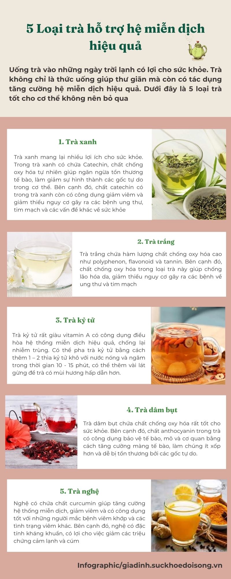 5 loại trà hỗ trợ hệ miễn dịch trong mùa lạnh hiệu quả - Ảnh 1.