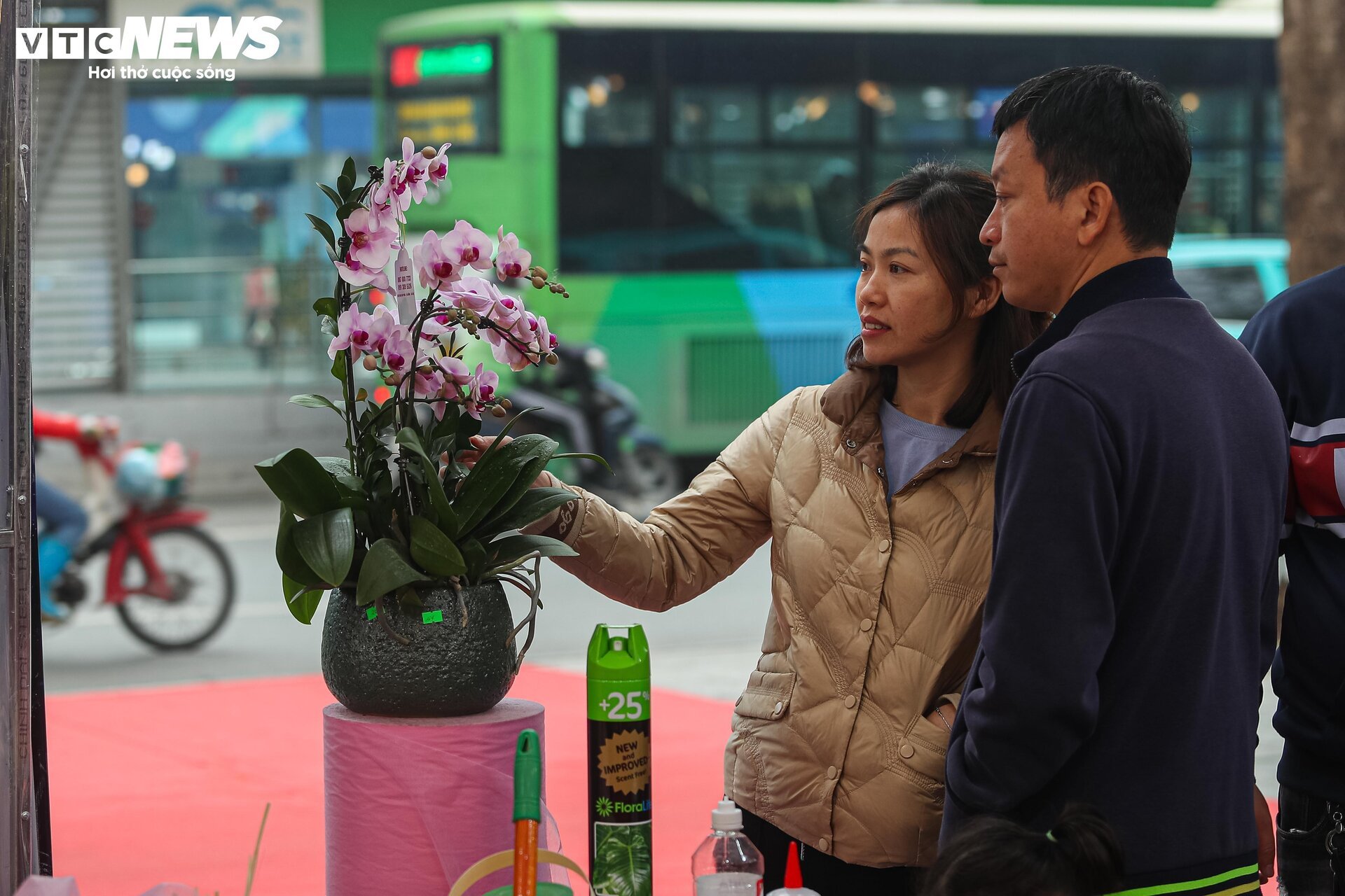 Lan hồ điệp đủ loại khoe sắc, người Hà Nội xuống tiền triệu mua hoa - Ảnh 10.