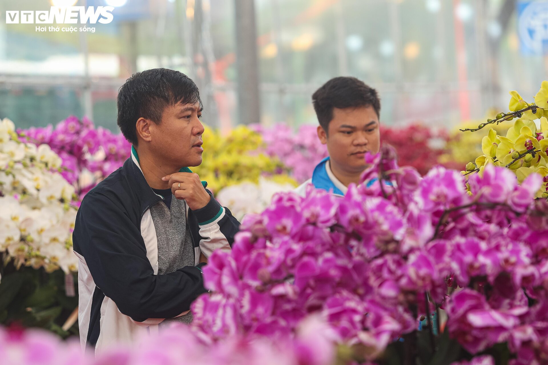 Lan hồ điệp đủ loại khoe sắc, người Hà Nội xuống tiền triệu mua hoa - Ảnh 15.