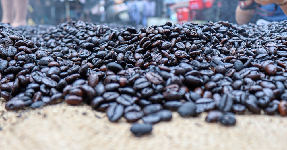 Nửa tháng thu gần 300 triệu USD, nông dân bán cà phê 'ăn Tết to' - Ảnh 1.
