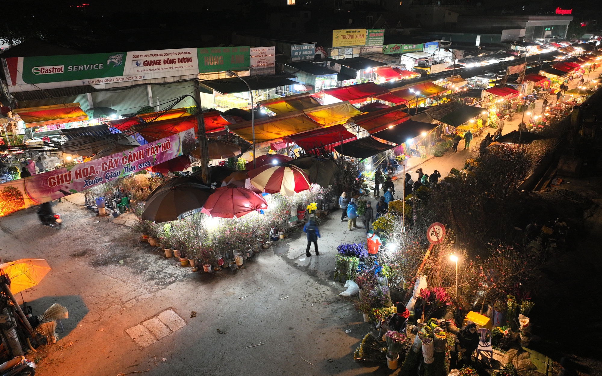 Cận Tết Nguyên đán, chợ hoa lớn nhất Hà Nội không một bóng khách, tiểu thương ế ẩm chơi dài