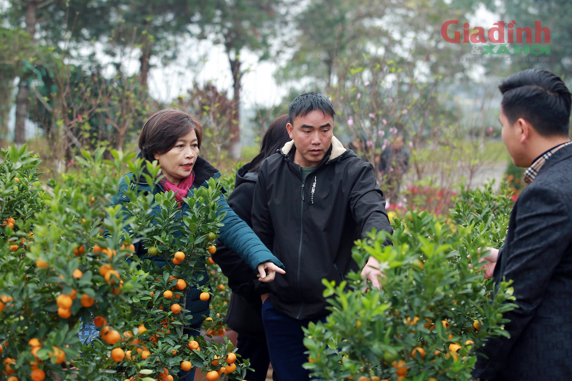 Chợ cây cảnh của người đã khuất nhộn nhịp ngày giáp Tết, một cây đào có giá 1,5 triệu đồng - Ảnh 6.